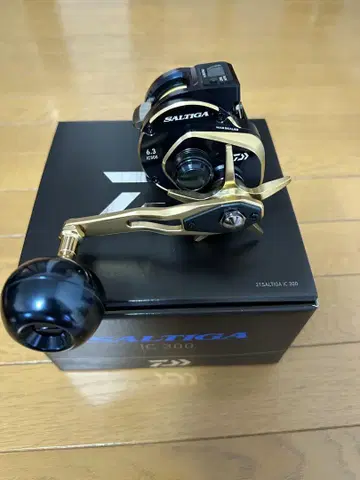 솔티가ic 300