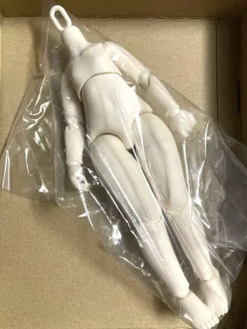 1/6 Tinyfox 화이트 피부의 바디