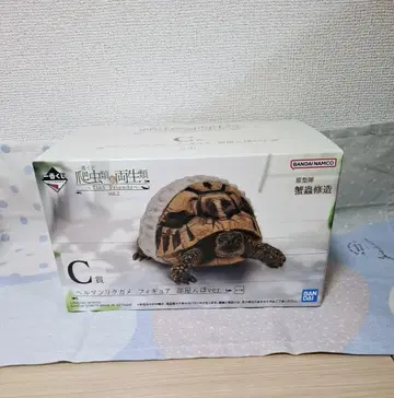 C상 헬만리쿠가메 피규어 방에서 놀기 ver.