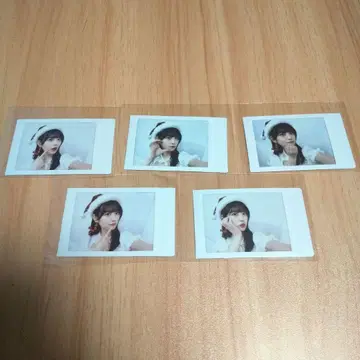 FRUITS ZIPPER 츠키아시 아메 크리스마스 의상 폴라로이드 5장