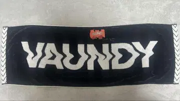Vaundy 타월 러버 밴드 세트