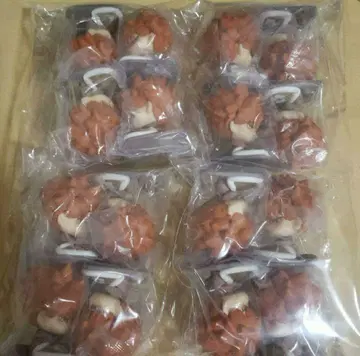 [라스트 1점] 블루 록 오네무탄 쿠니가미 렌스케