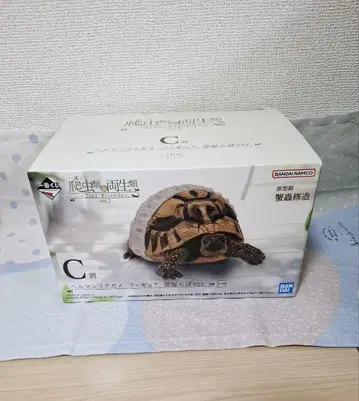 C상 헬만리쿠가메 피규어 방에서 놀기 Ver.