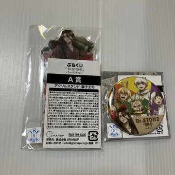 Dr. STONE 쁘띠 복권 시시오 츠카사 아크릴 스탠드 캔뱃지