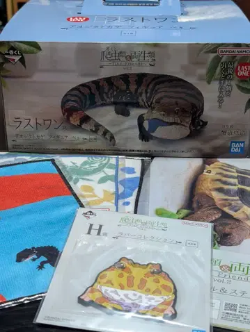 제일복권 파충류 및 양서류 라스트 원 상 아오지타 도마뱀 덤 5종 세트