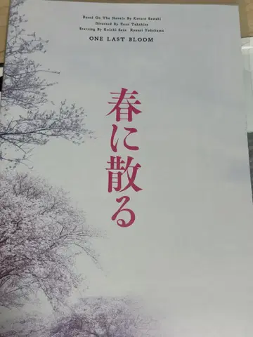 요코하마 류세이 봄에 지다 프레스 시트