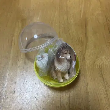 오리와 개 셰틀랜드 쉽독