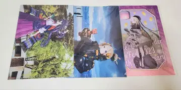 FGO 5주년 클리어 파일 무라사키 시키부 아비게일