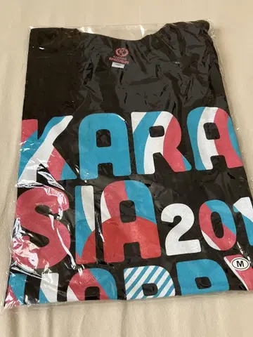 kara 도쿄돔 라이브 티셔츠 M 사이즈 미개봉