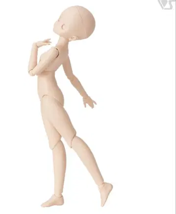 돌피드림 인형 본체 MDD 세미 화이트
