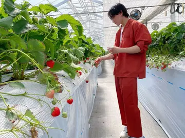 오렌지 캐주얼 셋업