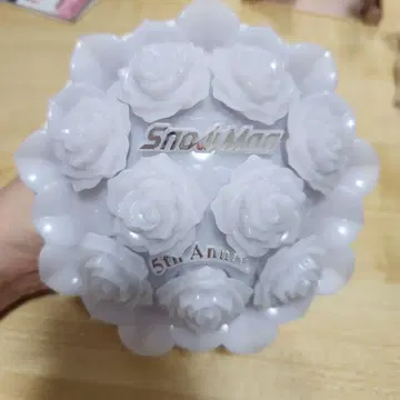 Snow World 응원봉