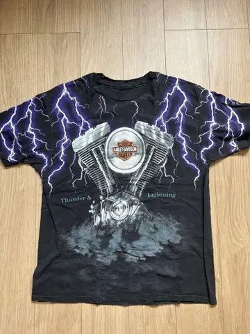 할리데이비슨 Thunder&Lightning / XL 정도