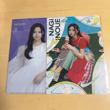 노기자카46 노기자카 카페 13th 바스라 클리어 파일 이노우에 카즈