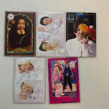 요시모토 콜레카 6th Edition 엘프
