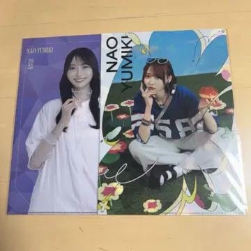 노기자카46 노기자카 카페 13th 버스라 클리어 파일 유미키 나오