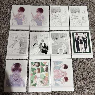 언니의 미도리 군, 파샤코레, 쇼