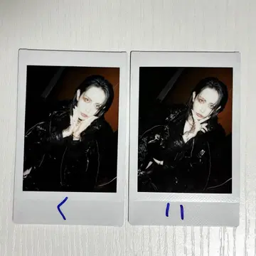 0[Hz] 폴라로이드 TEIKA