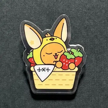 TXT 지역 한정 뿔바투 후쿠오카 한정판 팬춘 아크릴 배지
