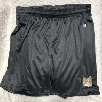S/Badger Sports x gray 콜라보 숏팬츠 파피용 자수