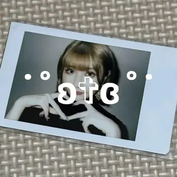 센리 카나노 폴라로이드