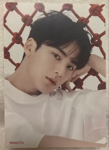 SEVENTEEN 민규 24H 플라이어