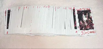 나츠키자무 체키 80장