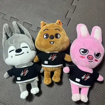 skzoo 정품