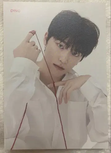 SEVENTEEN 디노 24H 플라이어