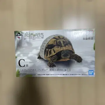 제일복권 파충류&양서류 C상 헤르만 육지거북 피규어 방황ver.