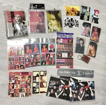 hide 관련 굿즈 세트 X JAPAN