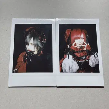 Royz 폴라로이드 님 님