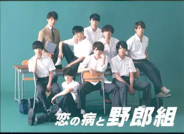 일본 드라마 Blu-ray 사랑의 병과 야로