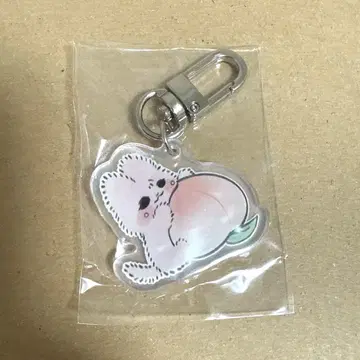 NCT127 재현 아크릴 키링 복숭아 고양이