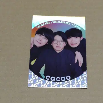 요시모토 콜레카 콜레카 6rh cacao 타카하시 탓페이 우라타 스타크