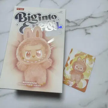 [ 정품 ] Biginto Energy 러브부 오렌지 happiness
