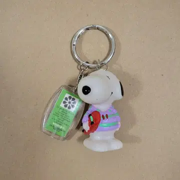 HOWIE Key ring SNOOPY skateboard 키링