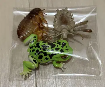벌레 개구리 곤충 가챠가챠