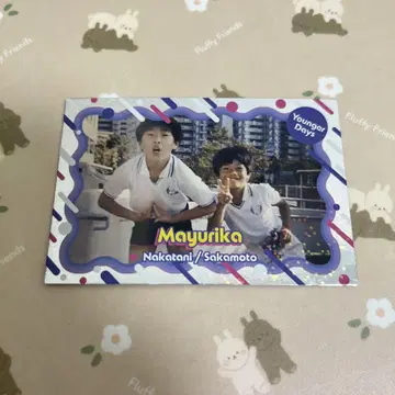 마유리카 요시모토 콜레카