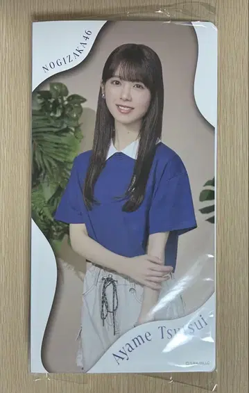 노기자카46 츠츠이 아야메 개별 사진 앨범 수납 굿즈