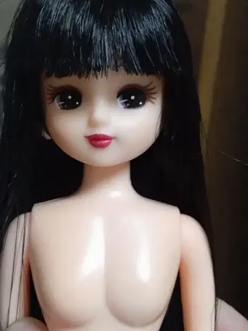 리카 캐슬