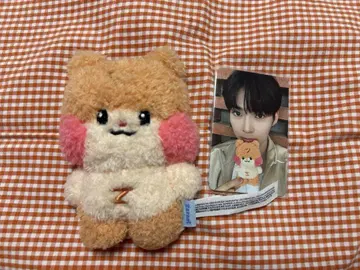 zb1 binini 봉제 인형 & 트레이딩 카드 성한빈
