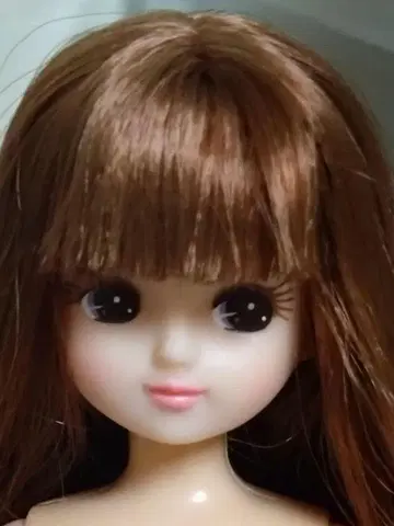 리카짱 인형 본체 브라운 머리