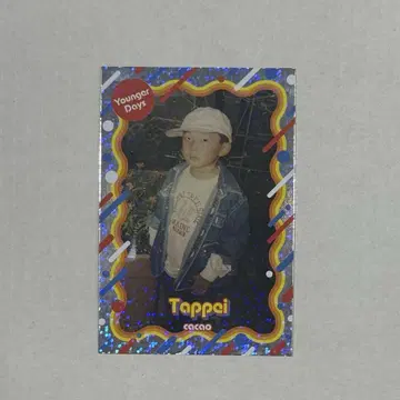 카카오 타페이 요시모토 코레카 그 시절