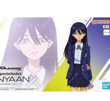 FigureriseStandard 지크 액스 냥