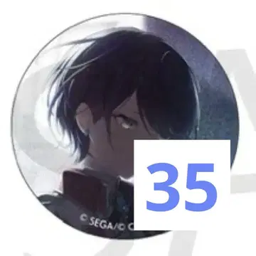 프로세카 호시노 이카 캔뱃지 42a