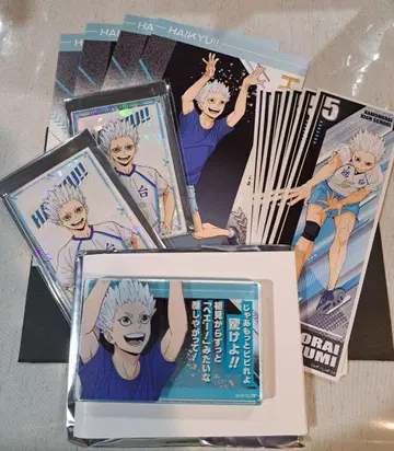 하이큐 호시우미 세트 아크릴 블록 애니메이트 특전 엽서 씰