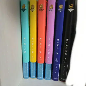 빛이 죽은 여름. 2-7