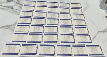 블루 록 이토시 형제 파샤코레 36장 세트 에고 전 블루 록 전