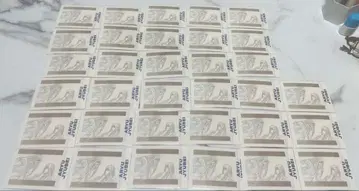 블루 록 아류 쥬베에 파샤코레 33매 세트 에고 전